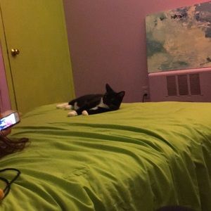 Meet your Posher, Emily